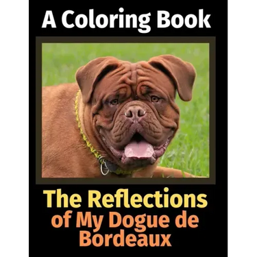 The Reflections of My Dogue de Bordeaux: A Coloring Book