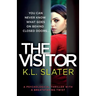 The Visitor: A psychological thriller with a breathtaking twist
