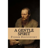 A Gentle Spirit: A Fantastic Story