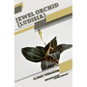 Jewel Orchid (Ludisia): Closed terrarium, Beginner's Guide