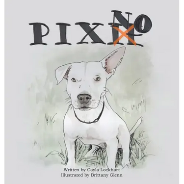 Pixno!