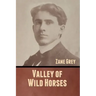 Valley of Wild Horses