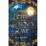 Light from a Broken Lamp