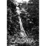 La Cascada