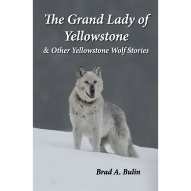 The Grand Lady of Yellowstone: & Other Yellowstone Wolf Stories