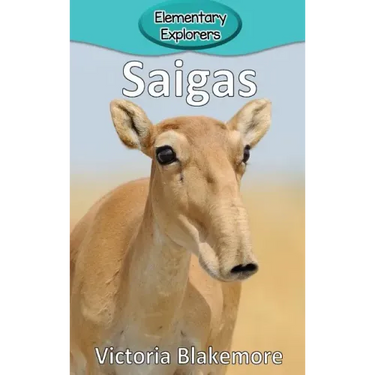 Saigas
