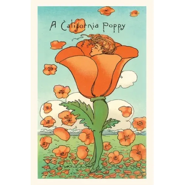 The Vintage Journal Illustration of California Poppy Person