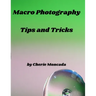 Macro Photography Tips and Tricks