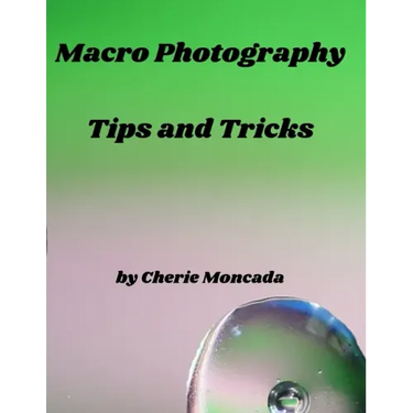 Macro Photography Tips and Tricks