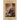 Darwin: A Companion - With Iconographies by John Van Wyhe