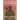 Rolling Through Afghanistan: Life as a Combat Medic Enduring PTSD