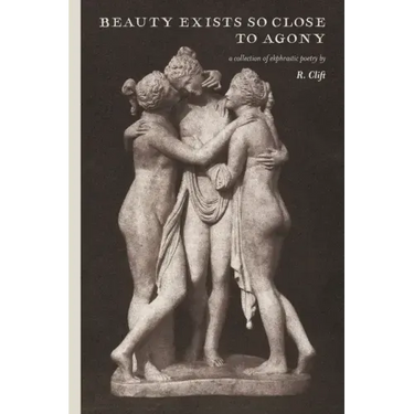 beauty exists so close to agony: a collection of ekphrastic poetry