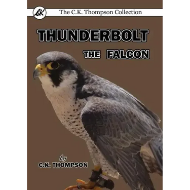 Thunderbolt the Falcon