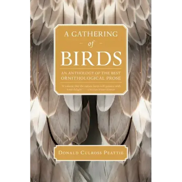 A Gathering of Birds: An Anthology of the Best Ornithological Prose