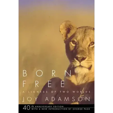 Born Free: A Lioness of Two Worlds