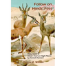 Follow on Hinds' Feet: Study Guide to Hinds' Feet on High Places