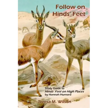Follow on Hinds' Feet: Study Guide to Hinds' Feet on High Places