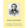 Schubert - Piano Sonata In A Minor (D. 537) Op. 164