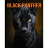 Black Panther: Fun Facts Book for Kids with Amazing Photos