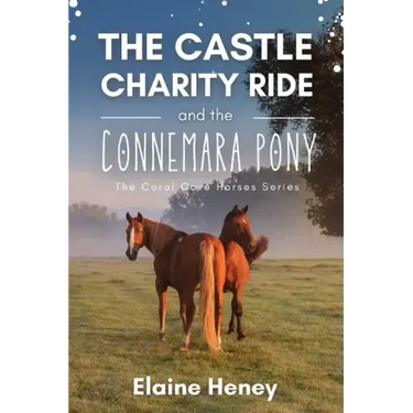 The Castle Charity Ride and the Connemara Pony - The Coral Cove Horses Series