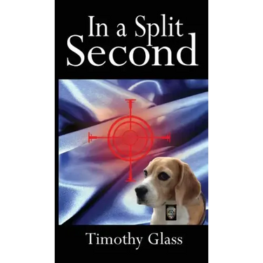 In a Split Second: A Connor Maxwell Mystery