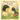 Flower Grows A Family