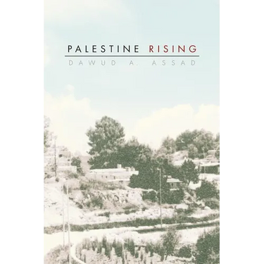 Palestine Rising