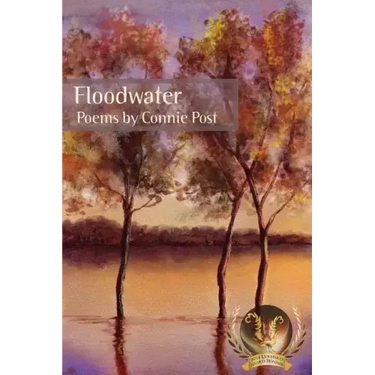 Floodwater