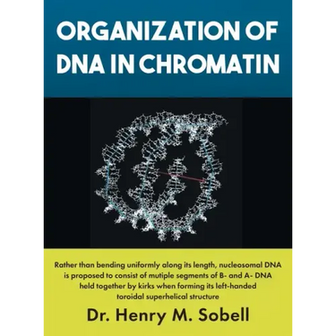Organization of DNA in Chromatin