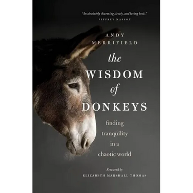 The Wisdom of Donkeys: Finding Tranquility in a Chaotic World