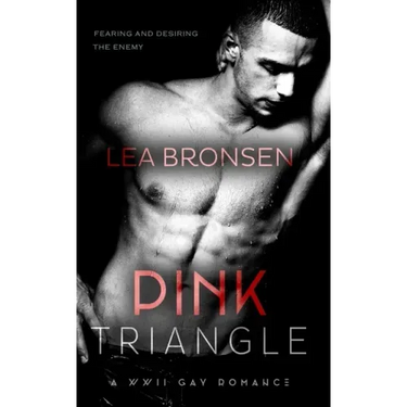 Pink Triangle: A WWII Gay Romance