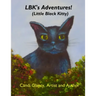 Adventures of LBK (Little Black Kitty)
