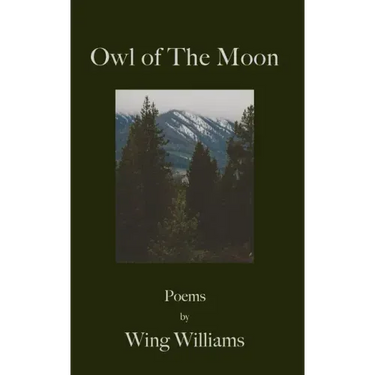 Owl of The Moon
