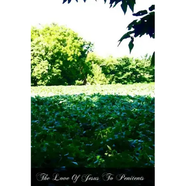 The Love Of Jesus To Penitents