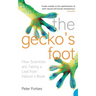 The Gecko's Foot: How Scientists are Taking a Leaf from Nature's Book