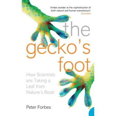 The Gecko's Foot: How Scientists are Taking a Leaf from Nature's Book