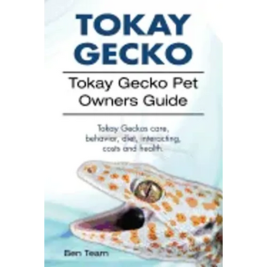 Tokay Gecko. Tokay Gecko Pet Owners Guide. Tokay Geckos care, behavior, diet, interacting, costs and health.
