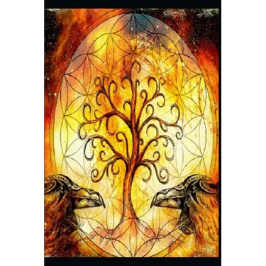 Paradigms of Meditation