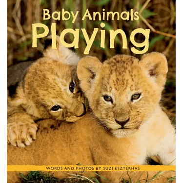 Baby Animals Playing