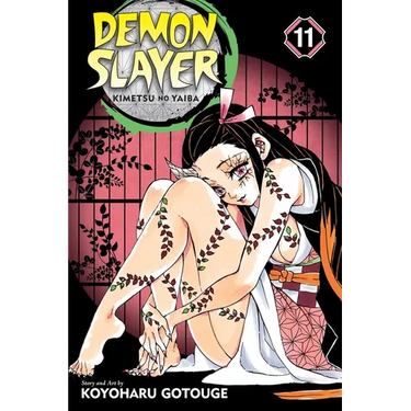 Demon Slayer: Kimetsu No Yaiba, Vol. 11