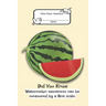 Composition Book: Wide Rule- Watermelon