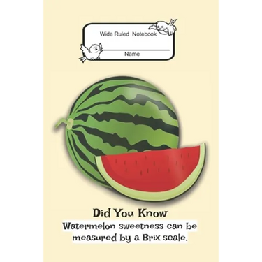 Composition Book: Wide Rule- Watermelon