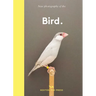 New Photography of the Bird.