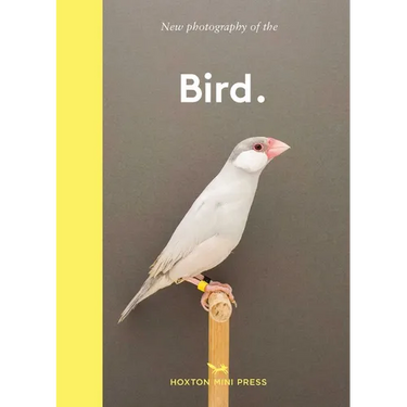 New Photography of the Bird.