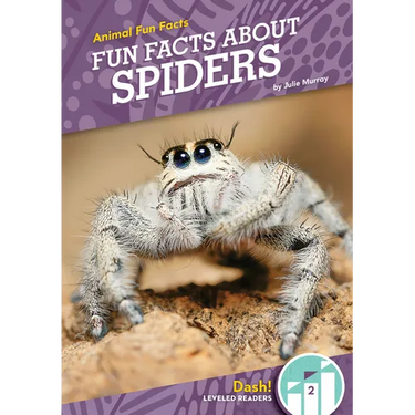 Fun Facts about Spiders