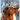 Jackie: A Dog's Tale