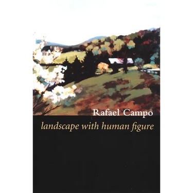 Landscape with Human Figure
