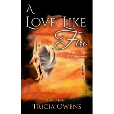 A Love Like Fire: High Fantasy M/M Romance