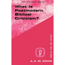What Is Postmodern Biblical Criticism?