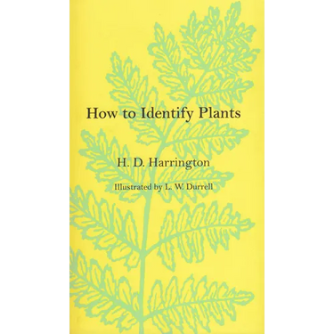 How To Identify Plants